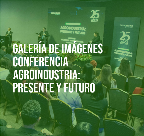 GALERIA CONFERENCIA